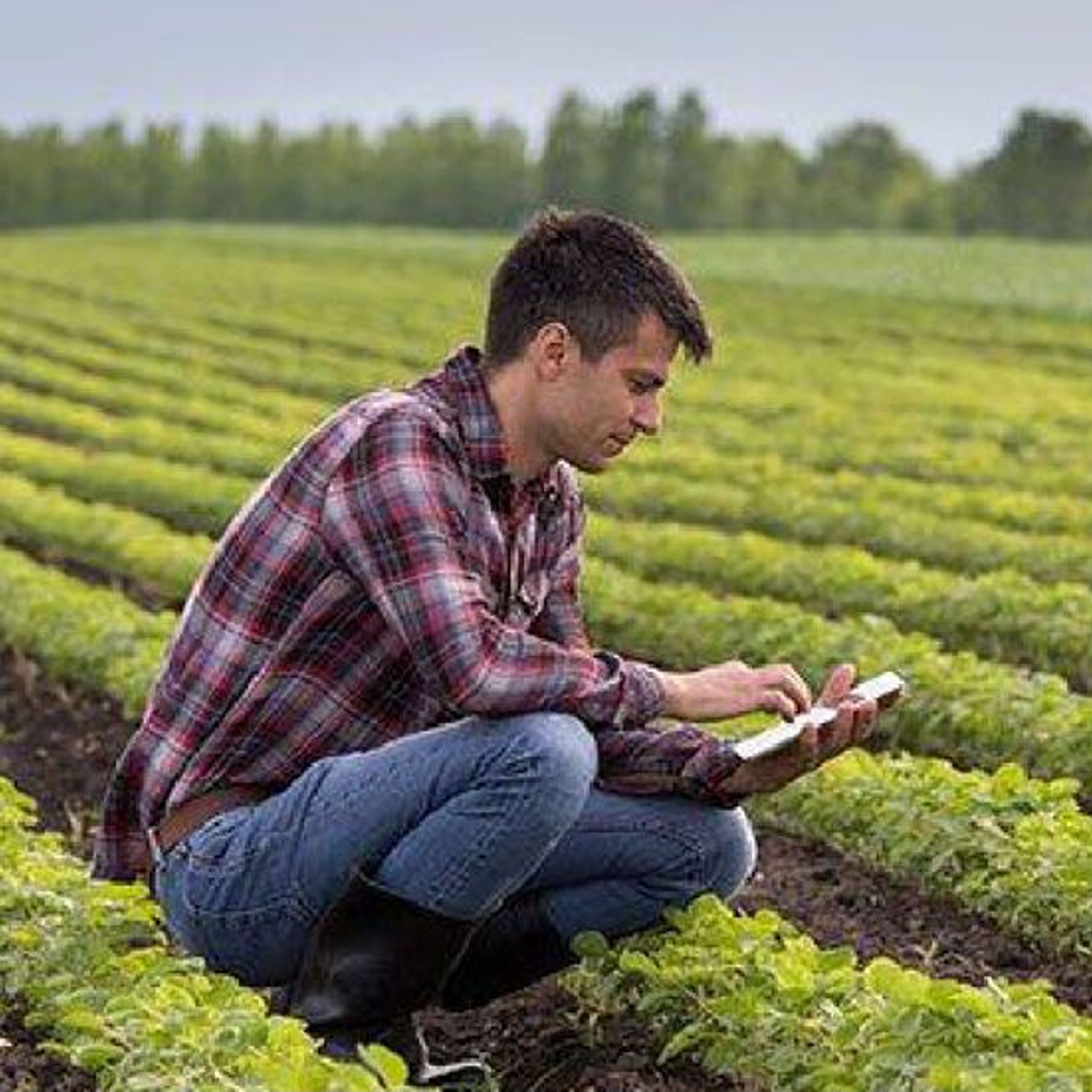 Agri (4)